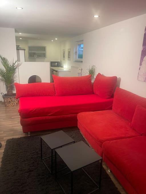 Gemuetliches Einliegerapartment, 50 Qm Trippstadt Exterior foto