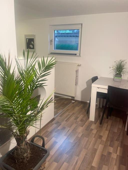 Gemuetliches Einliegerapartment, 50 Qm Trippstadt Exterior foto